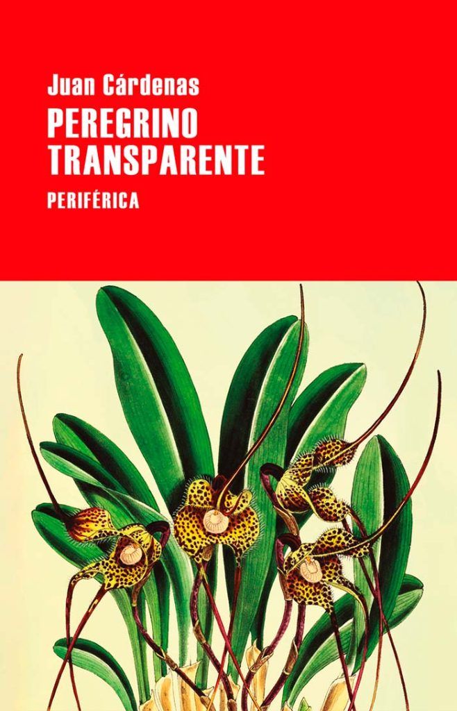 Portada de "Peregrino transparente" del escritor colombiano Juan Cárdenas