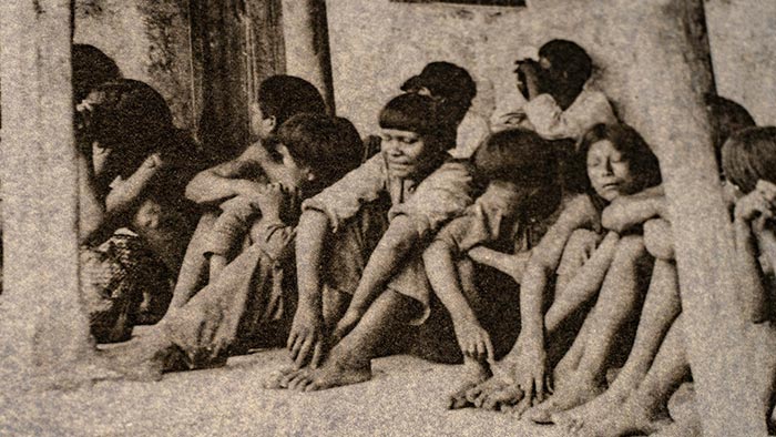 El árbol que devoró un mundo: los rumbos del caucho en La vorágine. Exposición de la Biblioteca Nacional de Colombia en la Feria Internacional del Libro de Bogotá 2024
